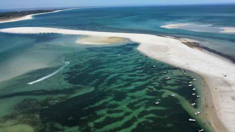 Arrábida: Boat Tour Experience - The Experience and Guides