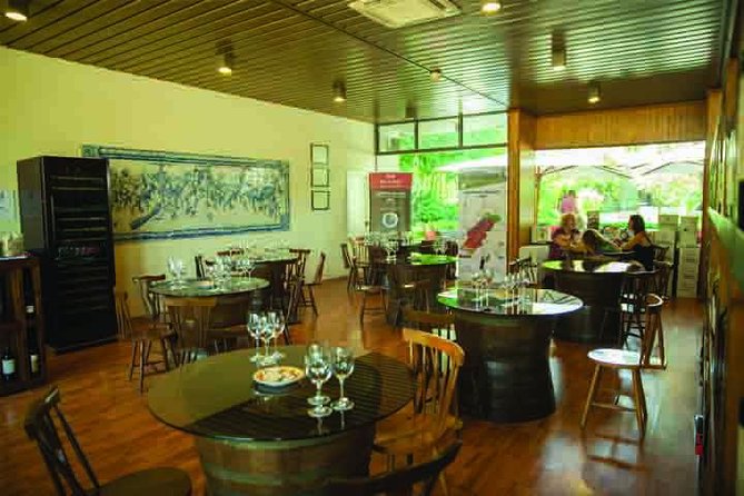 Arrábida Culture, Wine and Gastronomic Experience - Cancellation Policy