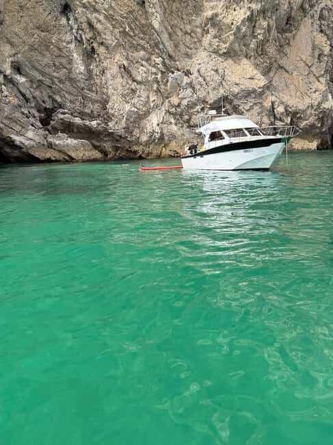 Arrábida - Fantastic dolphin tour - Good To Know