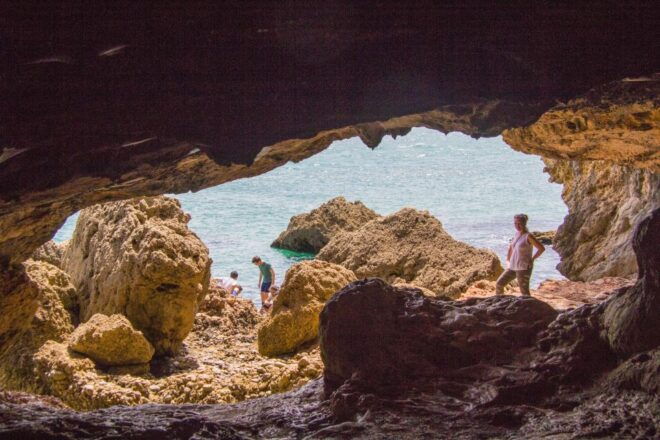 Arrábida: Full-Day Hidden Paradise Tour - Live Tour Guide and Group Size