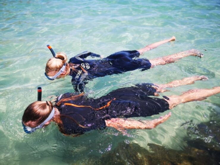 Arrábida: Kayaking and Snorkeling Experience - Activity Overview