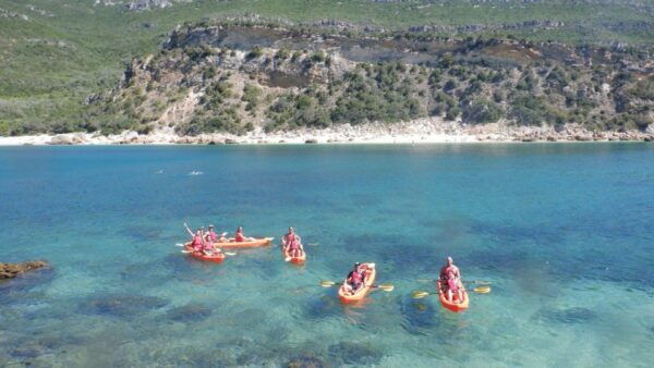 Arrábida: Kayaking and Snorkeling Experience - Frequently Asked Questions