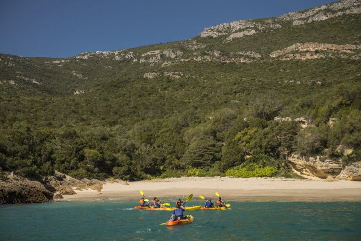 Arrábida Natural Park: Canoeing in Prof. Luiz S. Marine Park - Activity Details