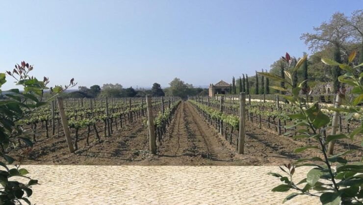 Arrábida Natural Park, Palmela Castle, Tiles and Wine Tour - Tour Duration and Flexibility