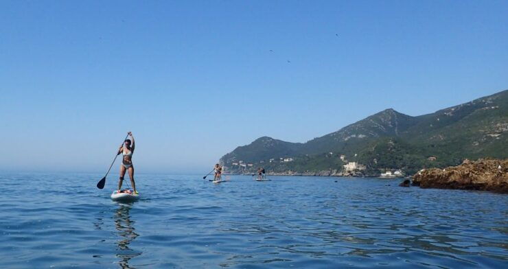 Arrábida Natural Park: Stand Up Paddleboard Tour and Lesson - Experience Highlights