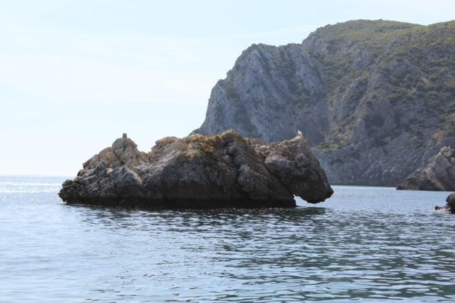 Arrábida Natural Park: Sunset Boat Trip With Regional Drink. - Important Information