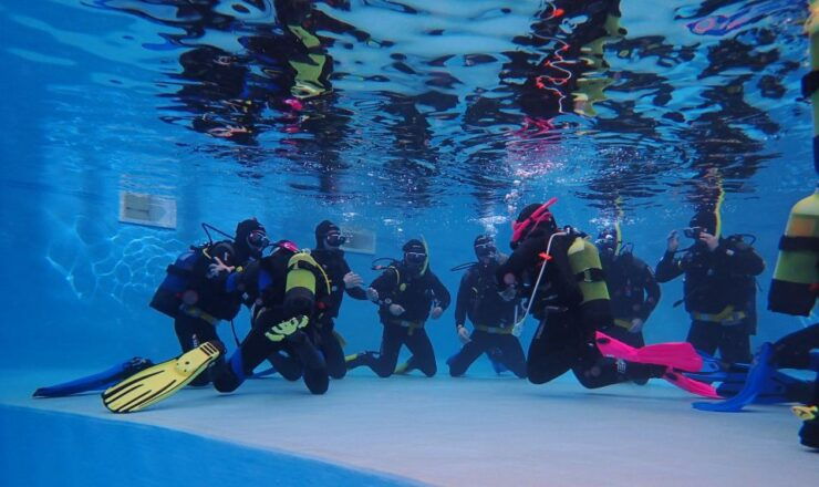 Arrábida: Open Water Diver Course in Arrábida Marine Reserve - Booking Information
