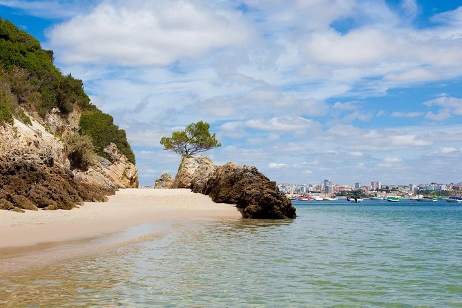 Arrabida Private Full-Day Wine Excursion - Activities