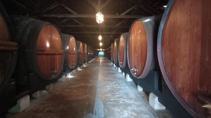 Arrábida Private Wine Tour on a Mercedes Convertible - Tour Duration