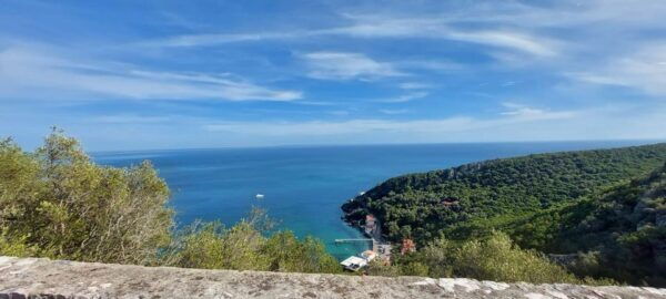 Arrabida, Sesimbra and Setubal Beaches Full Day Private Tour - Explore Mercado Do Livramento