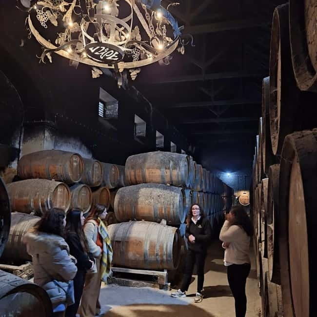 Arrábida - Sesimbra: Jeep Tour and Wine Tasting at Azeitão - Sesimbra Castle & Coastal Views