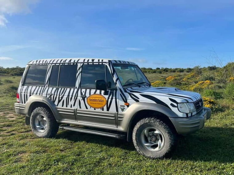 Arrábida - Sesimbra: Jeep Tour and Wine Tasting at Azeitão - Is This Tour Worth It?
