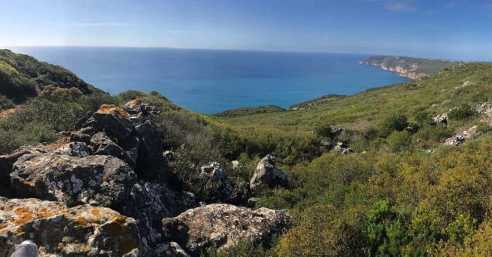 Arrábida - Sesimbra: Jeep Tour and Wine Tasting at Azeitão - The Sum Up