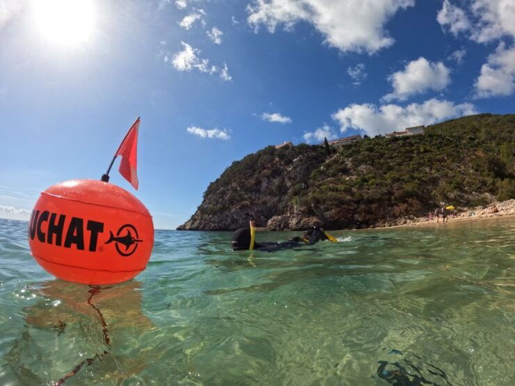 Arrábida: Snorkeling Experience in Arrábida Marine Reserve - Booking Information