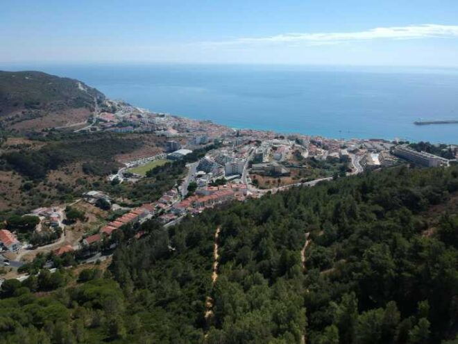 Arrábida & Wine Tour - Included Services
