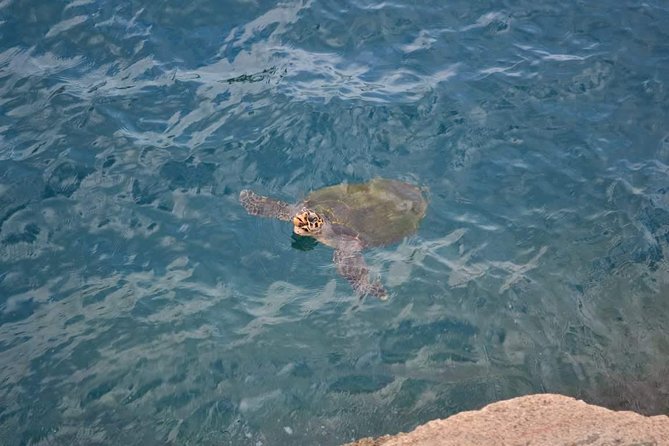 Arraial Do Cabo Tour From Rio De Janeiro - Tour Highlights