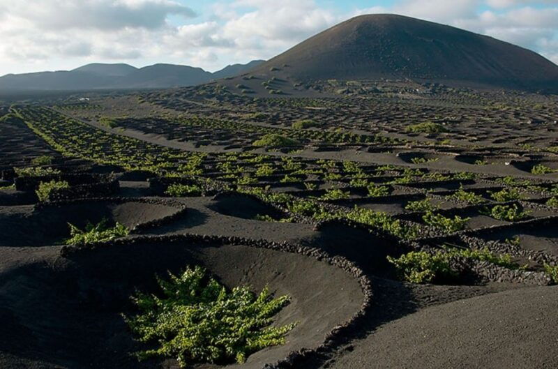 Arrecife/Playa Blanca: Timanfaya National Park Area Day Tour - Good To Know