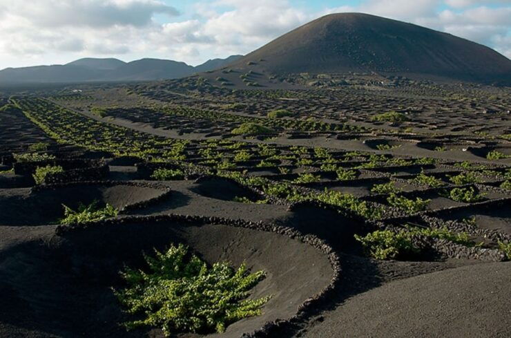 Arrecife/Playa Blanca: Timanfaya National Park Area Day Tour - Tour Highlights