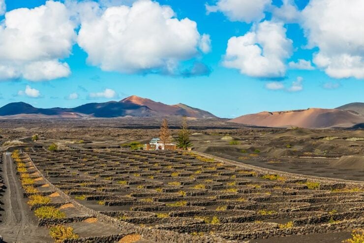Arrecife: Timanfaya Park and Green Lagoon Shore Excursion - Activity Details