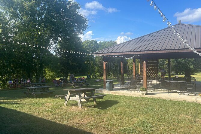 Arrington Wine and Franklin Dine Private Tour from Nashville - Authentic Insights from Reviews