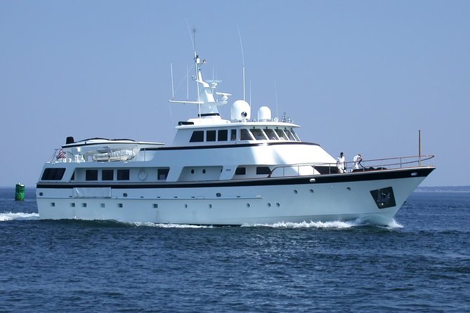 Arrival / Departure Private Transfer Heathrow Airport to Southampton Cruise Port - Positive Experiences