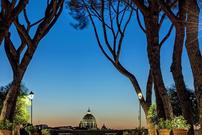 Arrival in Rome: Seamless Private Hotel Transfer - Service Details