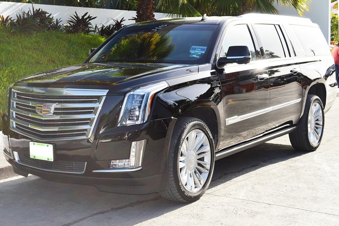 Arrival Luxury Transportation: Punta Cana International Airport to Hotels (1-5) - Meet Your Driver at the Airport