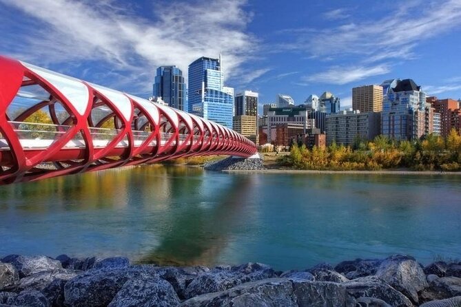 Arrival Private Transfer: Calgary Airport YYC to Calgary in Business Car - Hassle-Free Airport Pickup
