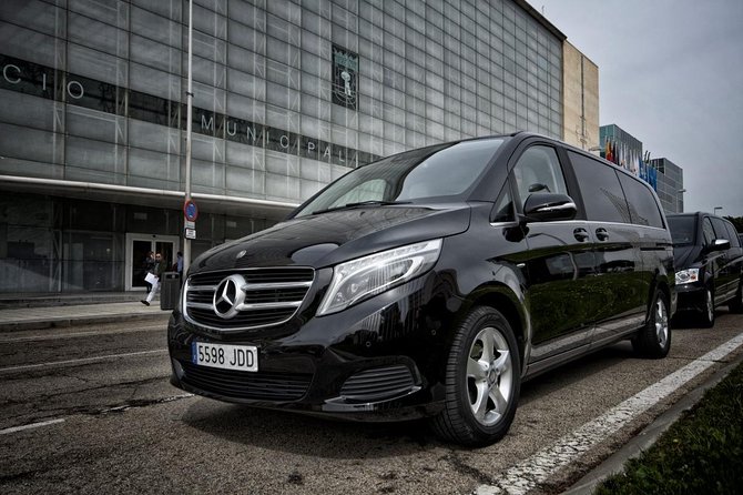 Arrival Private Transfer From Malaga Airport AGP to Malaga City by Luxury Van - General Details