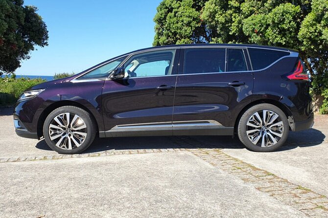 Arrival Private Transfer Lourdes Airport LDE to Lourdes City by Business Car - Additional Passenger Information