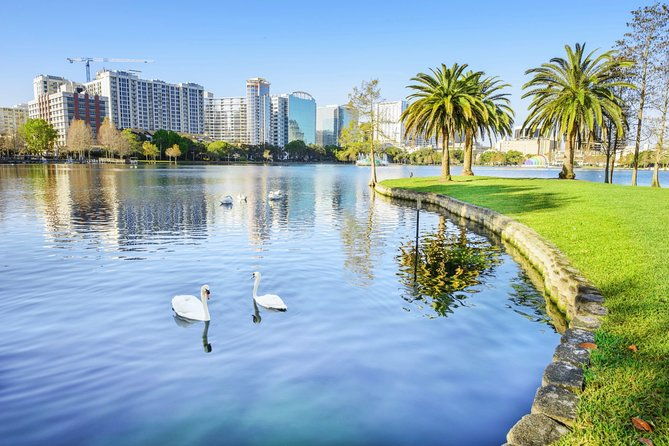 Arrival Private Transfer: Orlando Airport MCO to Orlando in Business Car - The Breakdown: Why This Transfer Stands Out