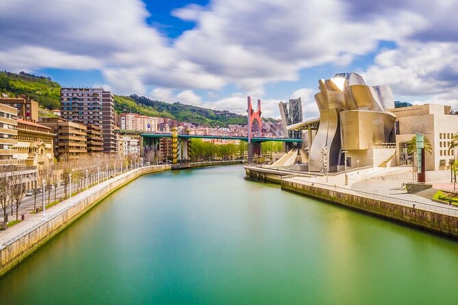 Arrival Private Transfers: Bilbao Airport BIO to Bilbao City in Business Car - Participation Requirements