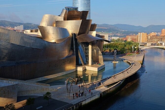 Arrival Private Transfers: Bilbao Airport BIO to Bilbao City in Business Car - Operator: PROFI DRIVER