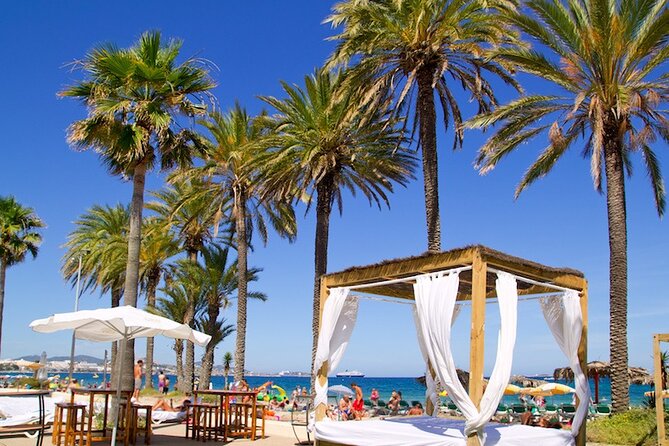Arrival Private Transfers From Ibiza Airport IBZ to Ibiza in Luxury Van - Contact and Additional Information