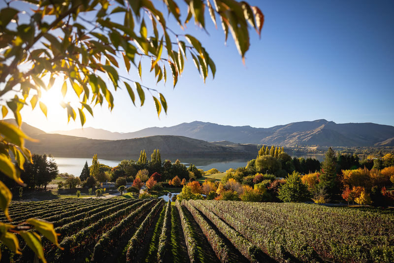 Arrowtown, Ayrburn, and Winery Half-Day Tour in Queenstown - What makes this Queenstown half-day tour worthwhile