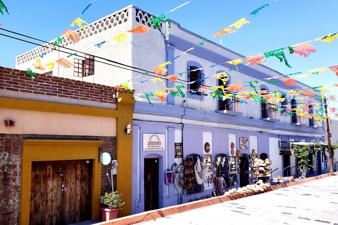 Art and Culture in Todos Santos - Private Tour/Activity Details