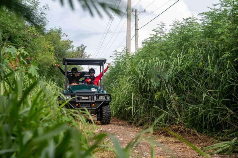 Art and Forest Way Combo Full Day Tour - Good To Know