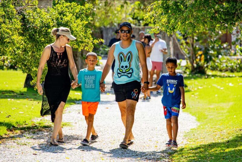 Art and Forest Way Combo Full Day Tour - Introduction: Why This Tour Is Unique