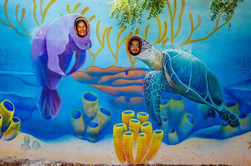 Art and Forest Way Combo Full Day Tour - The Sum Up