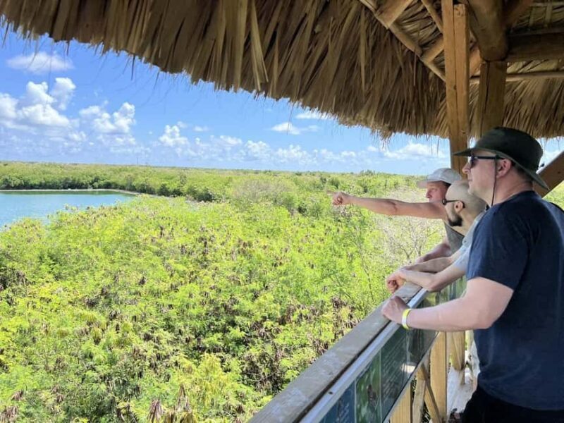 Art And Forest Way Half Day Tour - Final Thoughts