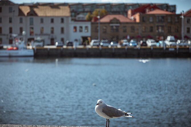 Art and History Trail Walking Tour in Tasmania - The Sum Up