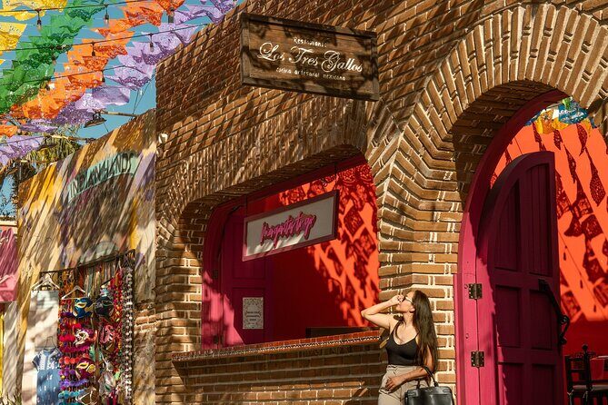 Art and Wine Evening City tour in San Jose del Cabo for Adults - Good To Know