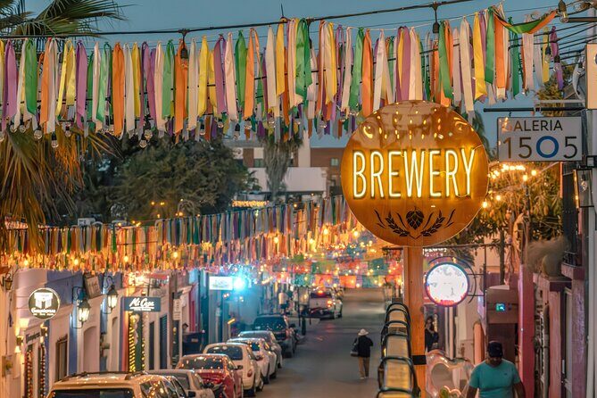 Art and Wine Evening City tour in San Jose del Cabo for Adults - Who Will Love This Tour?