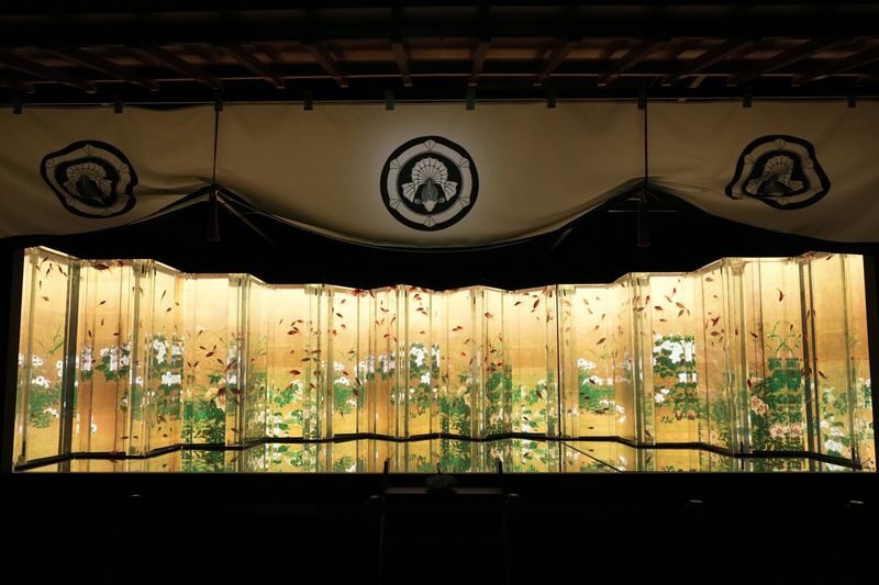 Art Aquarium Museum GINZA Ticket - Goldfish Take the Spotlight in Ginza