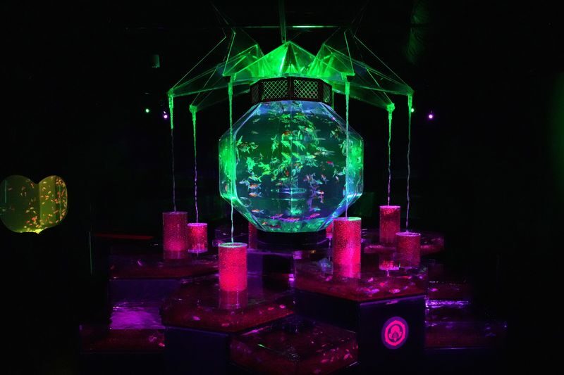 Art Aquarium Museum GINZA Ticket - Light, Sound, and a Room-by-Room Mood
