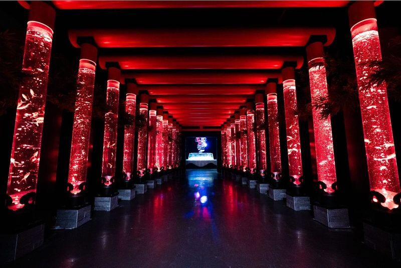Art Aquarium Museum GINZA Ticket - Getting to the 9th-Floor Entrance