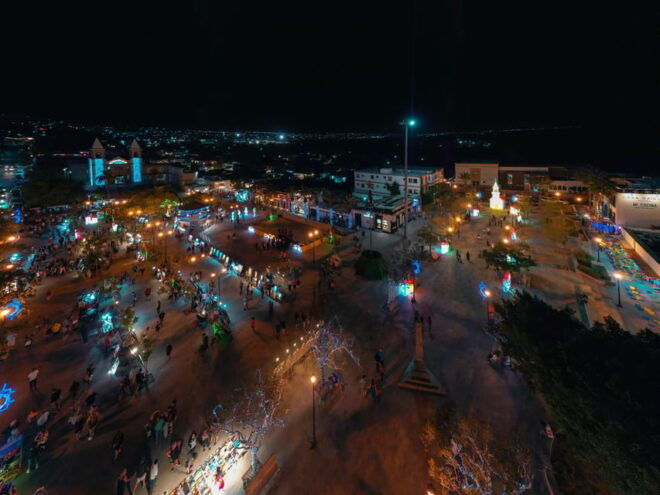 Art & Beer Tasting in San José Del Cabo - Highlights of the Tour
