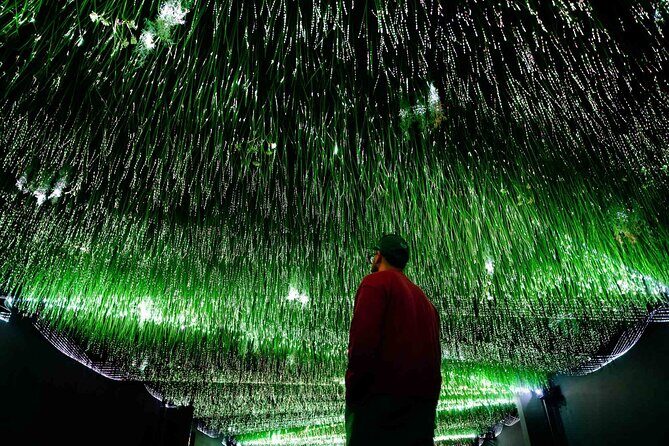 Art Club is an Immersive Museum of New Media Artworks at POST. - Good To Know