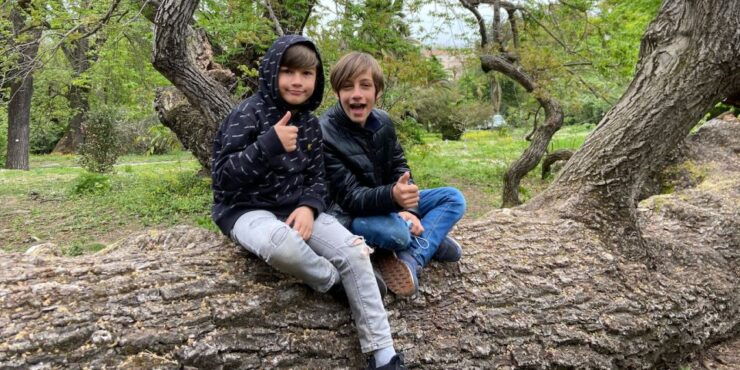 Art, Culture and Trastevere in German Language - Activity Details