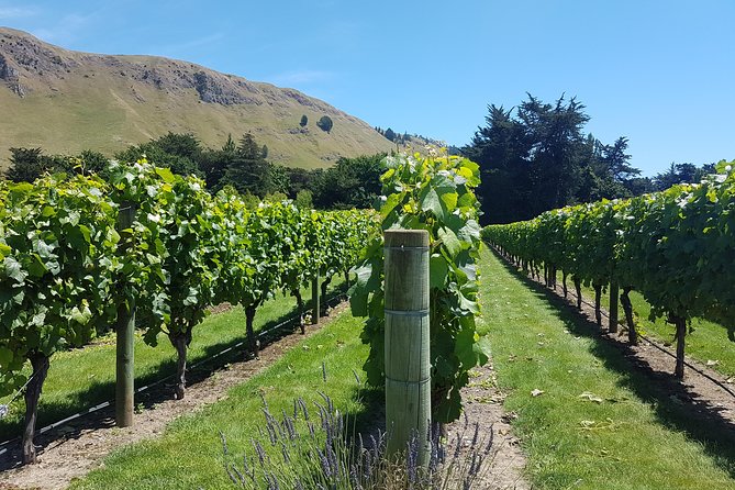 Art Deco City & Wine Private Tour - 5hrs - up to 10 People - Tour Overview and Itinerary